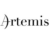 Artemis logo Artemis - Women on the Move Project